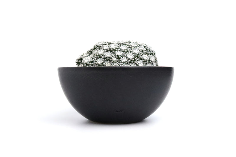 Plant Pot Bowl L / 碗鉢